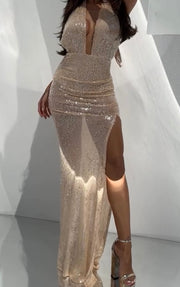 Fashion Sexy Mesh Cloth Sequins Dress