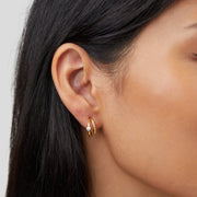 Layered Crystal Gold Hoop Earrings